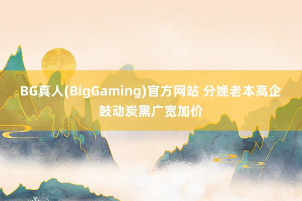 BG真人(BigGaming)官方网站 分娩老本高企鼓动炭黑广宽加价