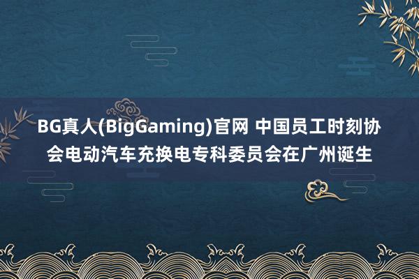 BG真人(BigGaming)官网 中国员工时刻协会电动汽车充换电专科委员会在广州诞生