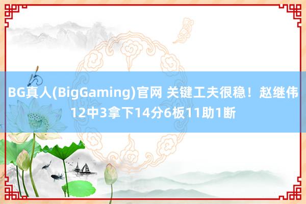 BG真人(BigGaming)官网 关键工夫很稳！赵继伟12中3拿下14分6板11助1断