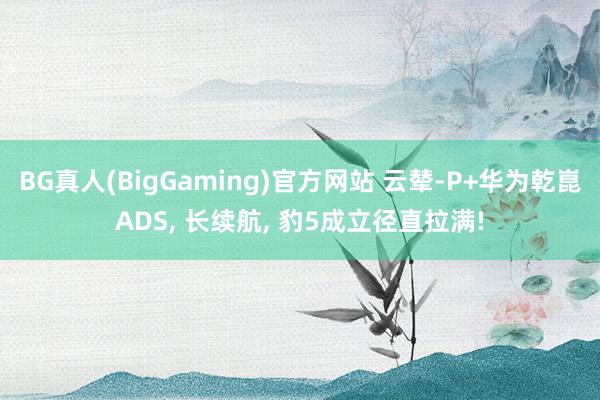 BG真人(BigGaming)官方网站 云辇-P+华为乾崑ADS， 长续航， 豹5成立径直拉满!