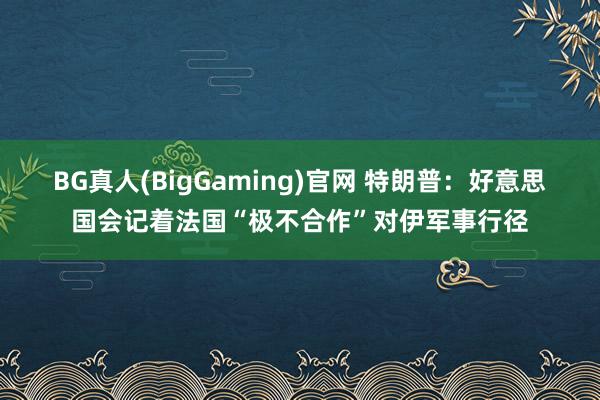 BG真人(BigGaming)官网 特朗普：好意思国会记着法国“极不合作”对伊军事行径
