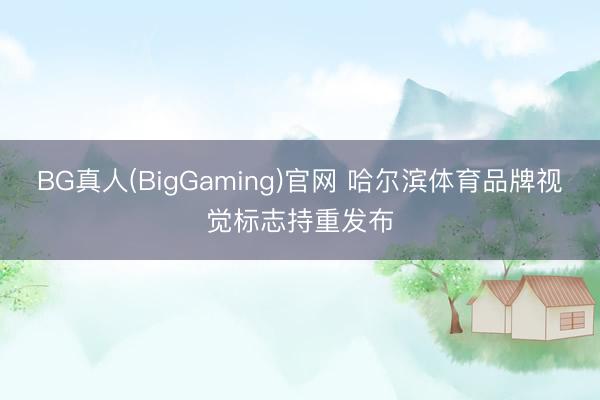 BG真人(BigGaming)官网 哈尔滨体育品牌视觉标志持重发布