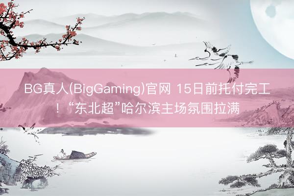 BG真人(BigGaming)官网 15日前托付完工！“东北超”哈尔滨主场氛围拉满