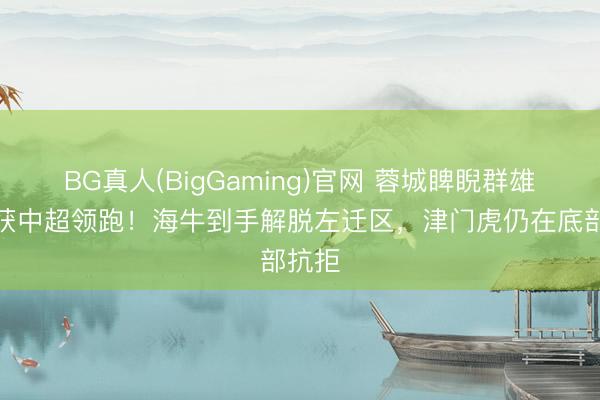 BG真人(BigGaming)官网 蓉城睥睨群雄，荣获中超领跑！海牛到手解脱左迁区，津门虎仍在底部抗拒
