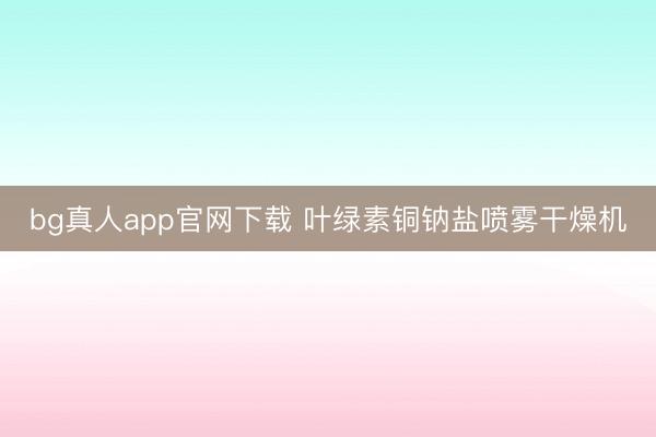 bg真人app官网下载 叶绿素铜钠盐喷雾干燥机