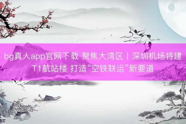 bg真人app官网下载 聚焦大湾区丨深圳机场将建T1航站楼 打造“空铁联运”新要道