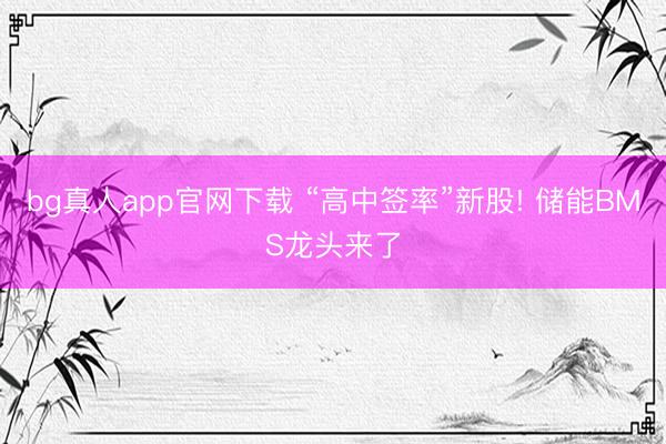 bg真人app官网下载 “高中签率”新股! 储能BMS龙头来了