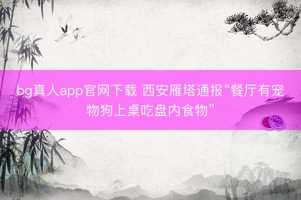 bg真人app官网下载 西安雁塔通报“餐厅有宠物狗上桌吃盘内食物”