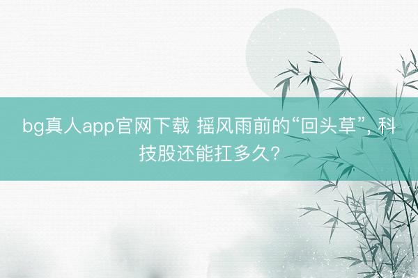 bg真人app官网下载 摇风雨前的“回头草”， 科技股还能扛多久?