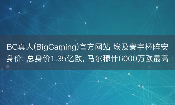 BG真人(BigGaming)官方网站 埃及寰宇杯阵安身价: 总身价1.35亿欧, 马尔穆什6000万欧最高