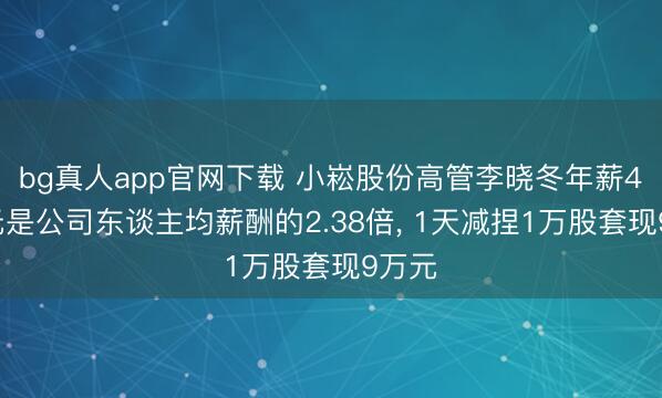 bg真人app官网下载 小崧股份高管李晓冬年薪48万元是公司东谈主均薪酬的2.38倍， 1天减捏1万股套现9万元