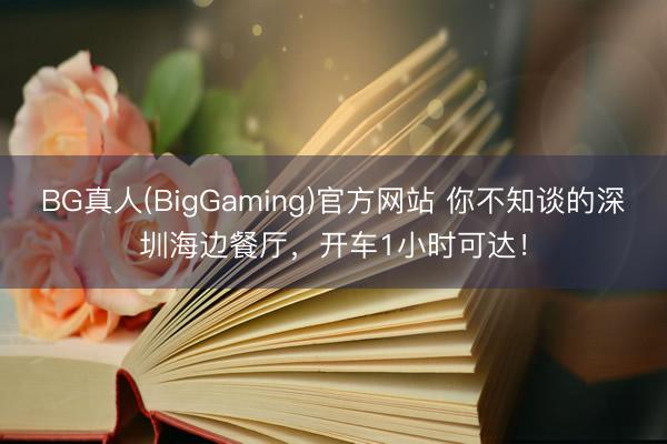 BG真人(BigGaming)官方网站 你不知谈的深圳海边餐厅，开车1小时可达！