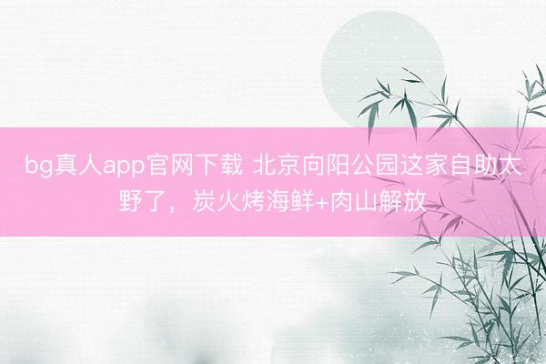 bg真人app官网下载 北京向阳公园这家自助太野了,炭火烤海鲜+肉山解放