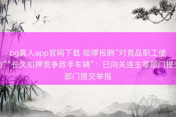 bg真人app官网下载 哈啰报酬“对竞品职工使用暴力”“长久扣押竞争敌手车辆”：已向关连主宰部门提交举报