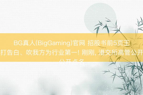 BG真人(BigGaming)官网 招股书前5页王人在打告白、吹我方为行业第一! 刚刚， 港交所高管公开点名