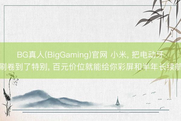BG真人(BigGaming)官网 小米， 把电动牙刷卷到了特别， 百元价位就能给你彩屏和半年长续航