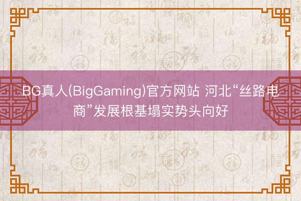 BG真人(BigGaming)官方网站 河北“丝路电商”发展根基塌实势头向好