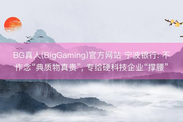 BG真人(BigGaming)官方网站 宁波银行: 不作念“典质物真贵”， 专给硬科技企业“撑腰”