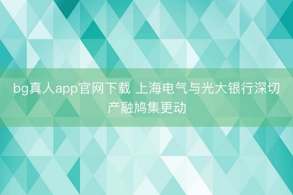 bg真人app官网下载 上海电气与光大银行深切产融鸠集更动